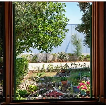 Irena Punta Skala Apartment