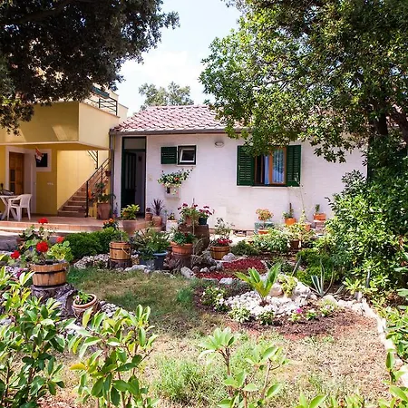 Irena Punta Skala Apartment *